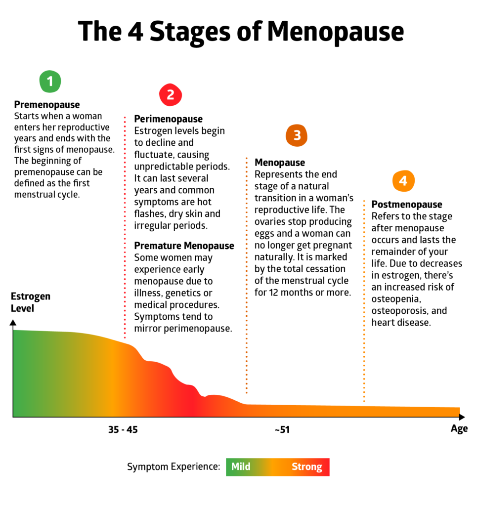 Perimenopause 4 Stages 967x1024 